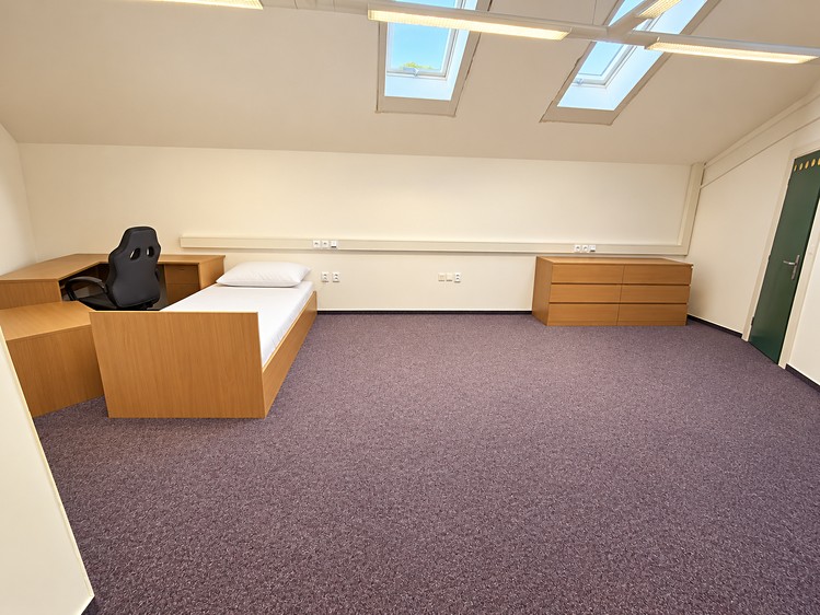 Wohnung room zur Miete, 30 m² (1 von 4)
