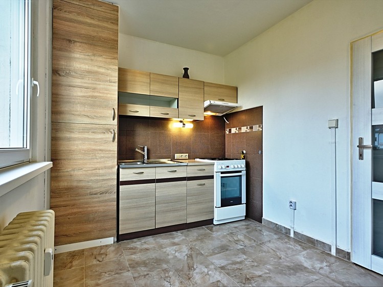 Квартира 1+1 в оренду, 42 м² (5 з 11)