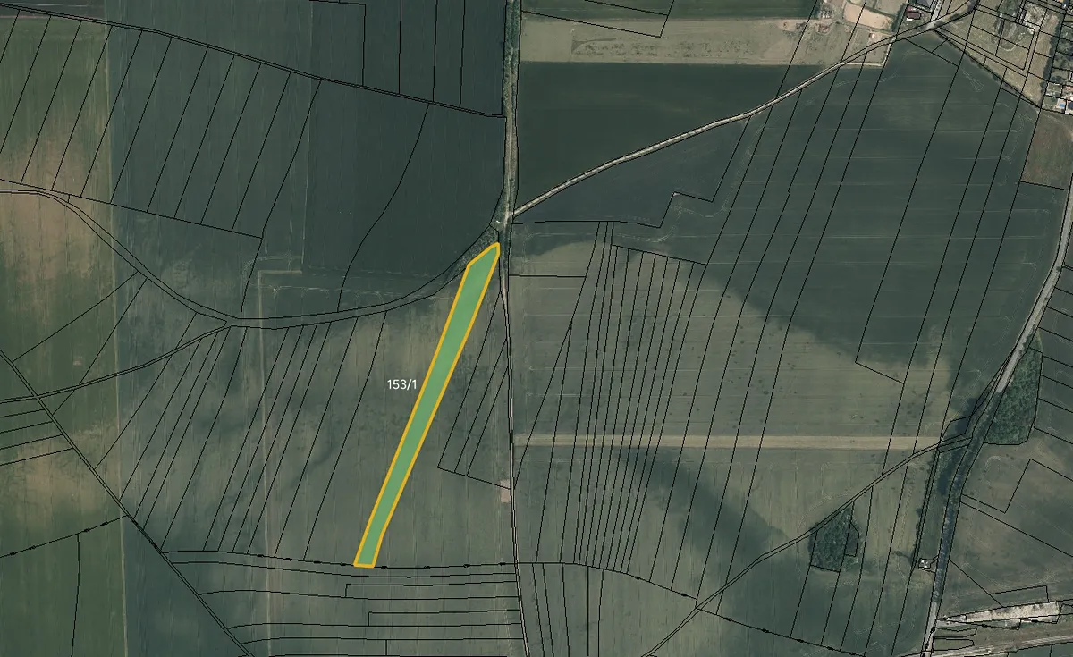 Prodej pole 6007 m²