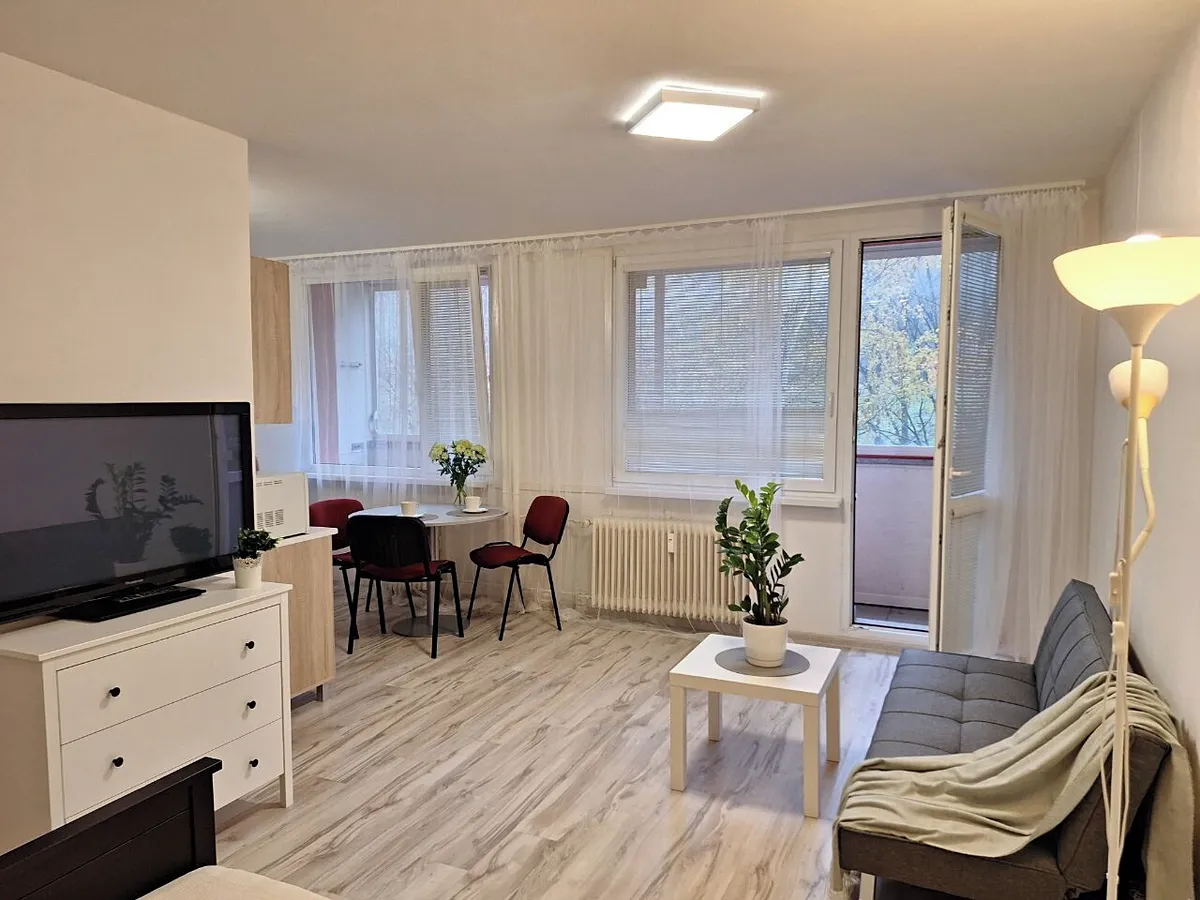 Pronájem bytu 1+kk 34 m²