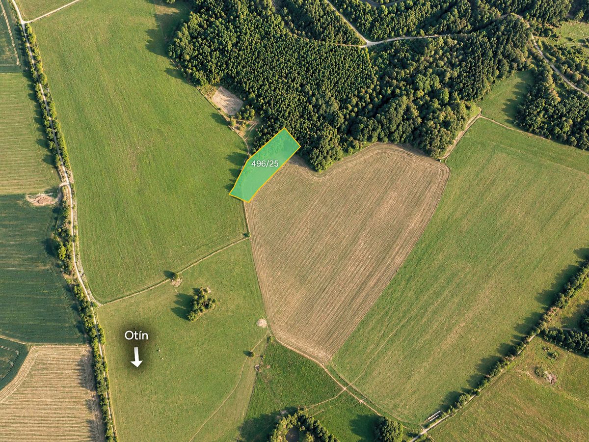 Prodej pole 6707 m², Planá – fotka 1 z 3