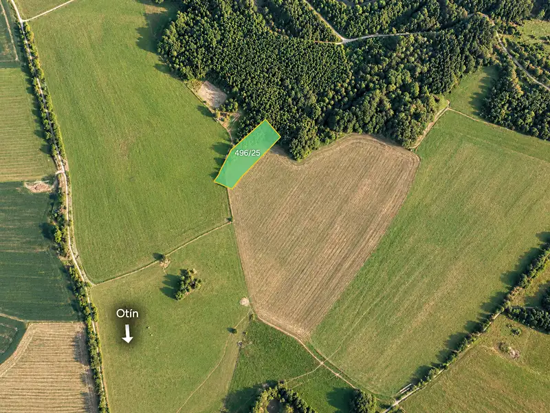 Prodej pole 6707 m², Planá – náhled fotky 1