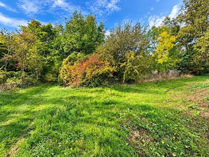 Prodej zahrady 823 m², Medlov – náhled fotky 3