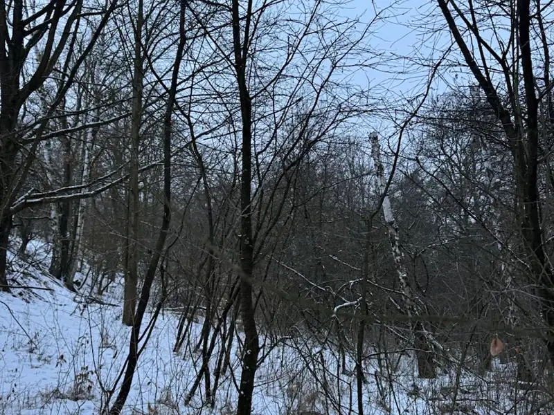 Prodej pozemku 719 m², Kralupy nad Vltavou – náhled fotky 2