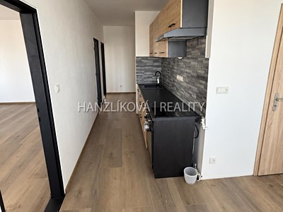 Pronájem bytu 2+1, 72 m² (3 z 16)