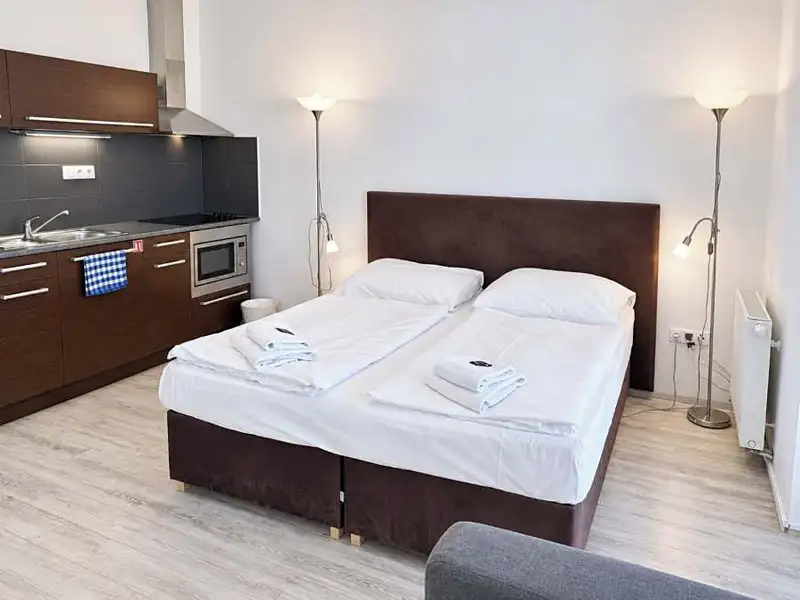 Prodej bytu 1+kk 25 m², Brno – náhled fotky 1