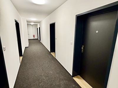 Wohnung 1+kk zur Miete, 36 m² (3 von 8)