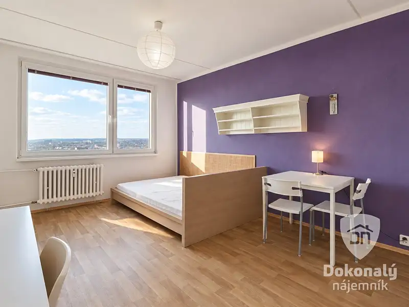Pronájem bytu 1+1 30 m², Praha – náhled fotky 1
