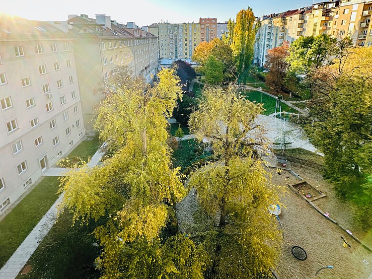 Ostatní