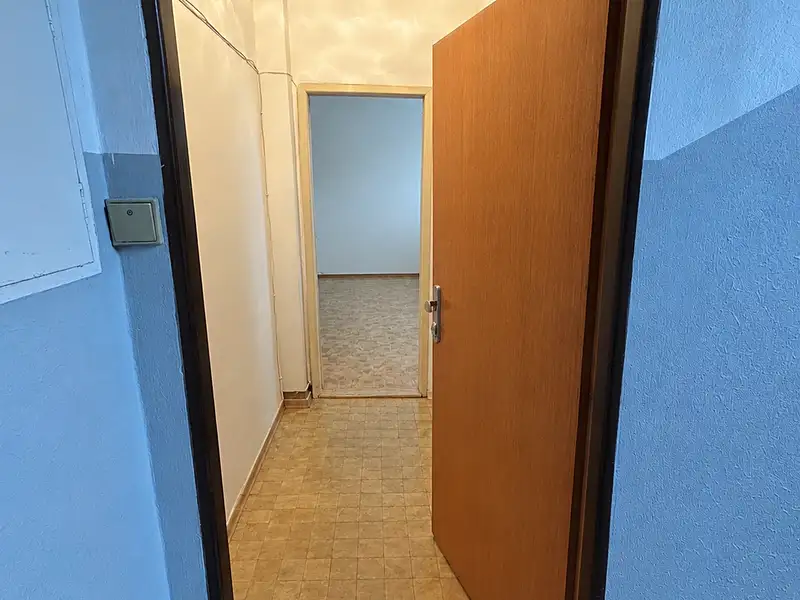 Pronájem bytu 1+1 46 m², Plzeň – náhled fotky 3