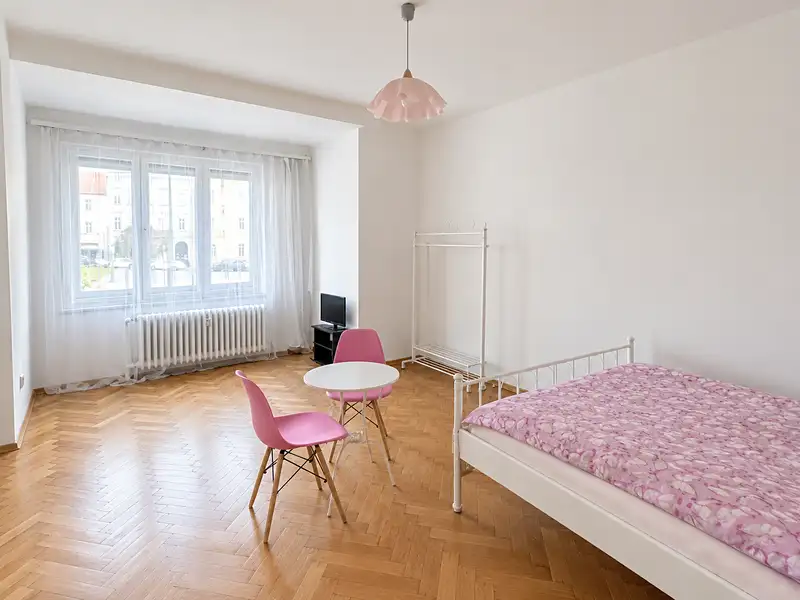 Pronájem bytu 1+1 46 m², Plzeň – náhled fotky 1
