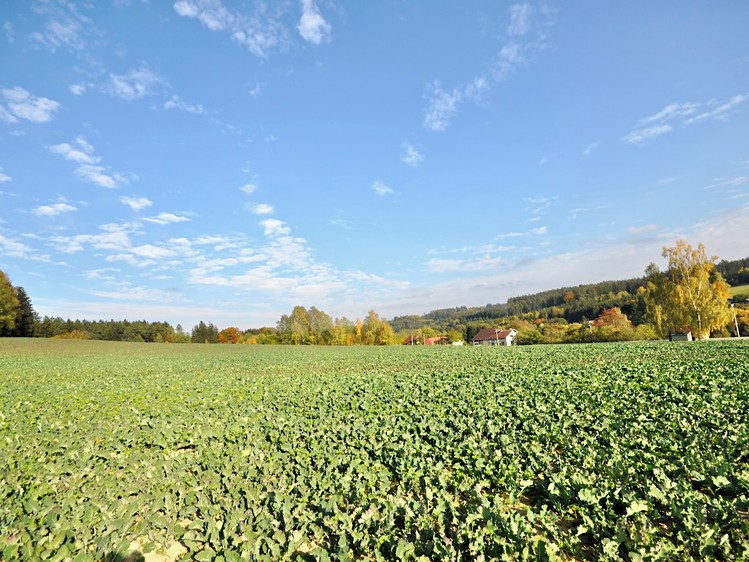 Prodej domu, 250 m² (10 z 11)
