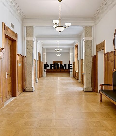 Pronájem komerčního prostoru, 174 m² (9 z 22)