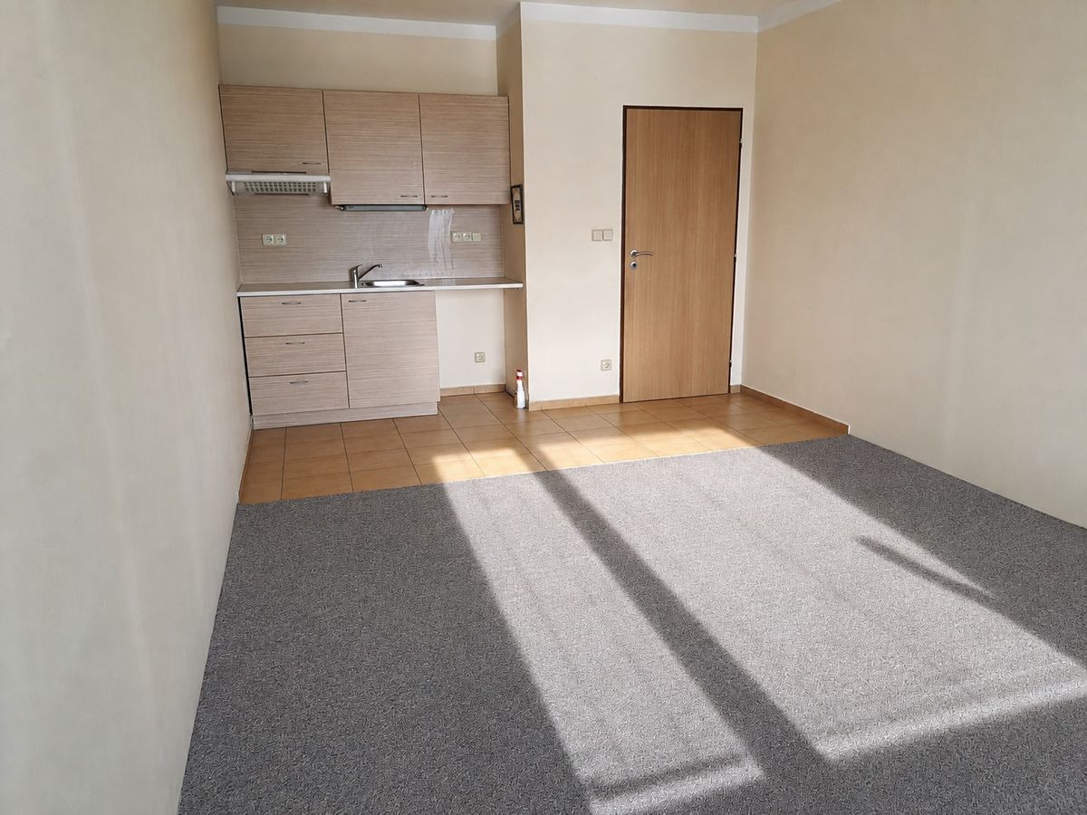 Pronájem bytu 1+kk 29 m²