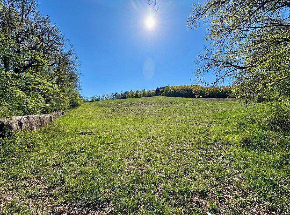 Prodej pole 60462 m², Úštěk – fotka 1 z 3