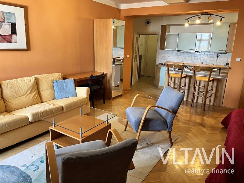 Pronájem bytu 1+kk 45 m² – fotografie 4