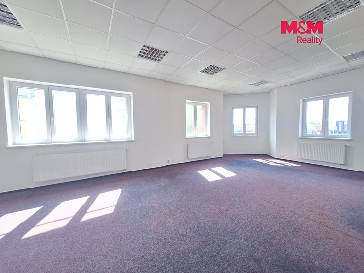 Gewerbefläche zum Kauf, 310 m² (3 von 19)