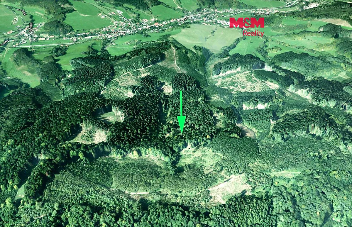Prodej lesa 16652 m²