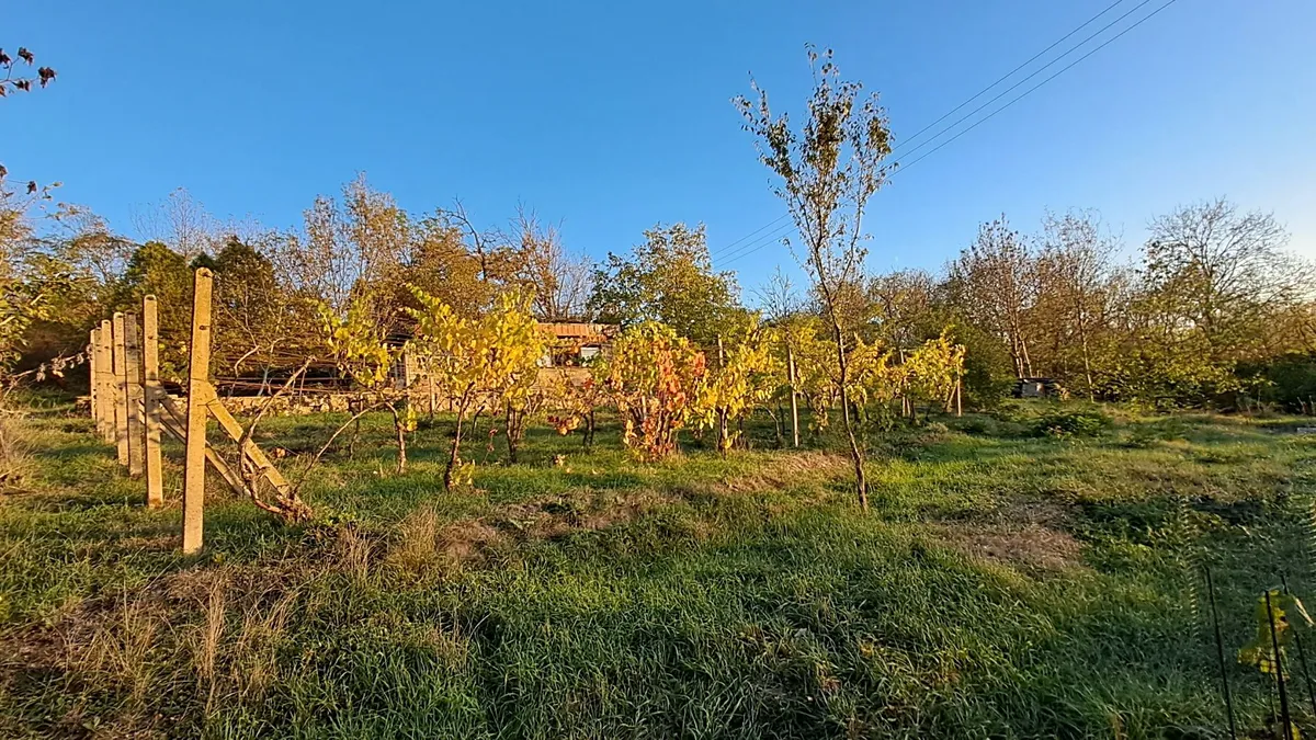 Fotka 6 z 12