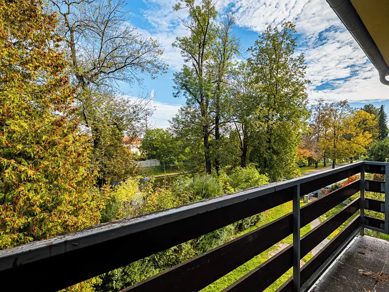 Pronájem vily 225 m², pozemek 1111 m², České Budějovice – náhled fotky 3