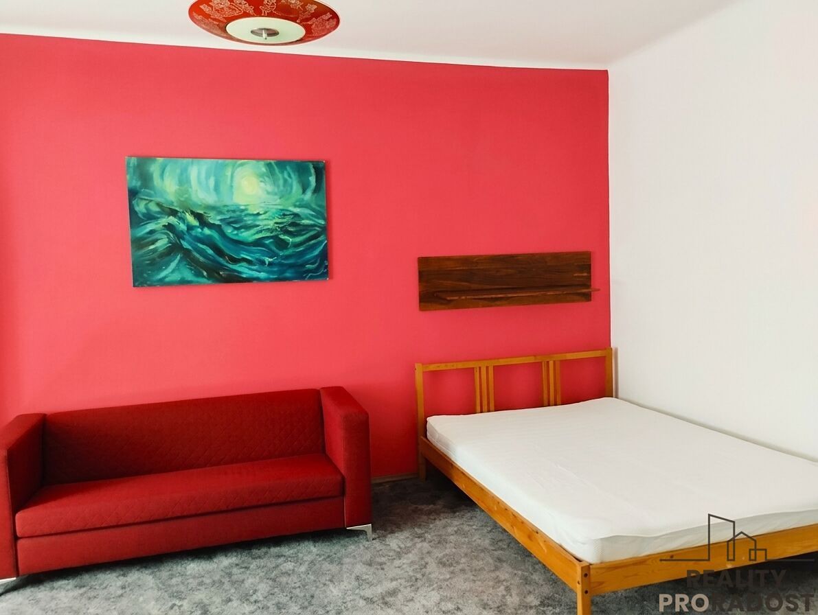 Pronájem bytu 1+1 50 m² – fotografie 2