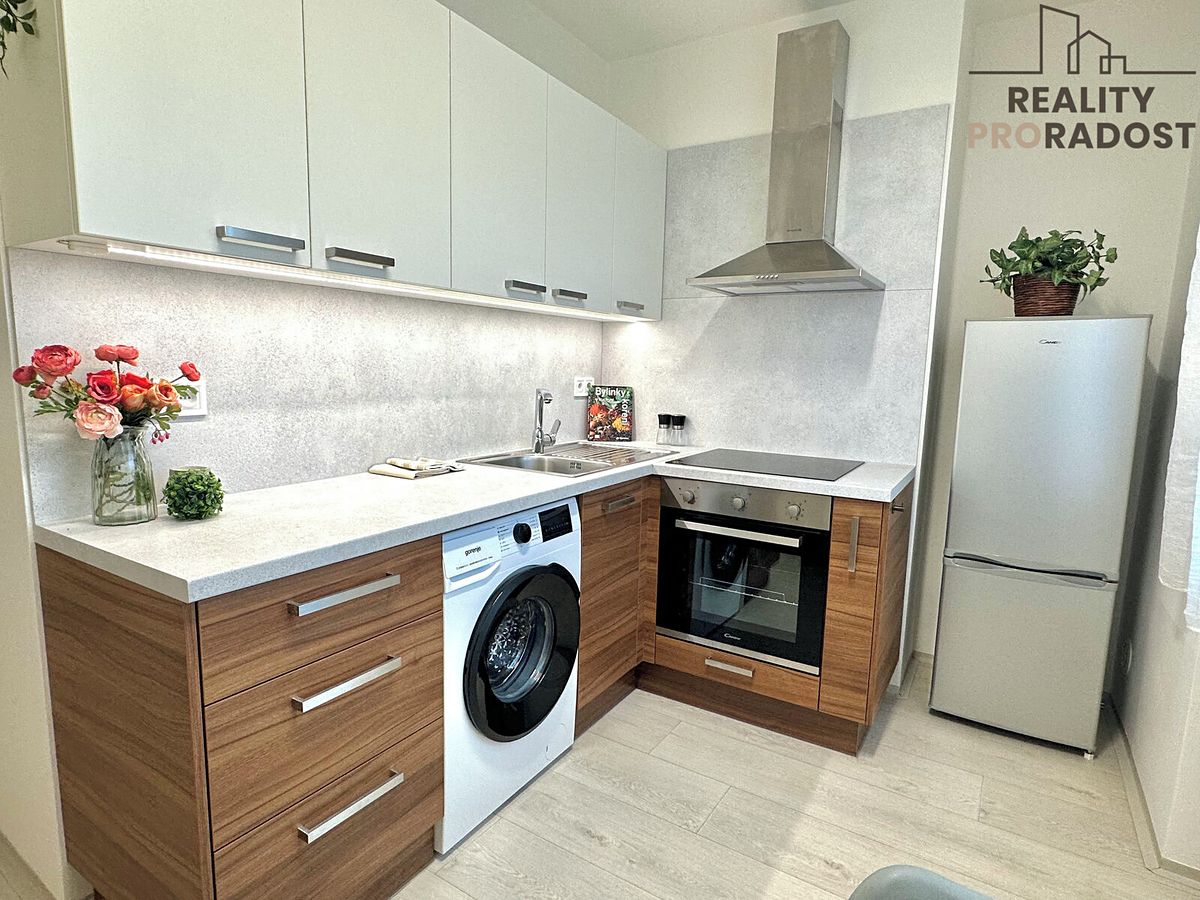 Pronájem bytu 1+1 34 m²