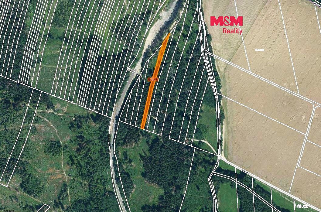 Prodej lesa 5346 m², Nová Hradečná – fotka 1 z 3