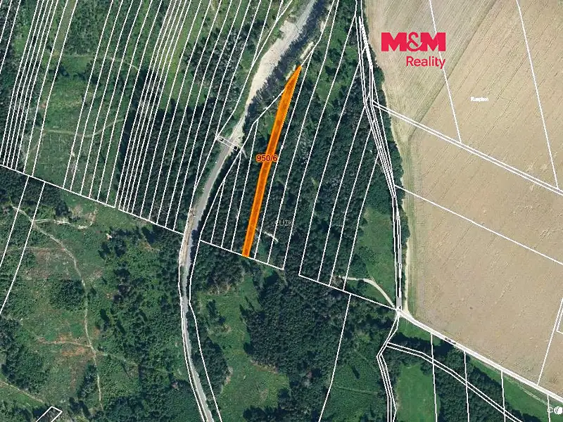 Prodej lesa 5346 m², Nová Hradečná – náhled fotky 1