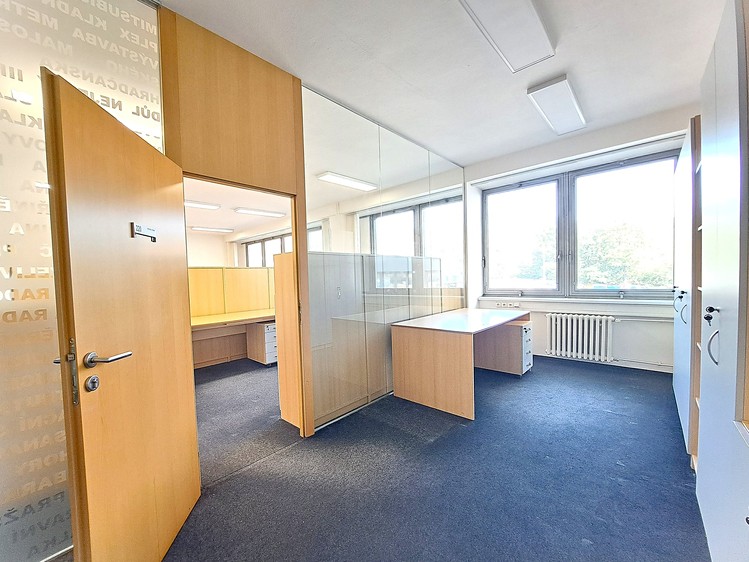 Pronájem komerčního prostoru, 321 m² (4 z 11)