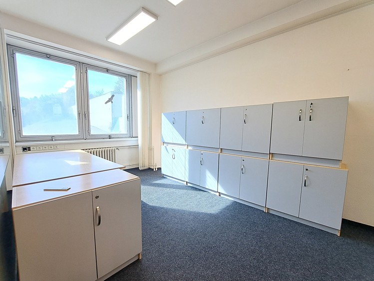 Pronájem komerčního prostoru, 321 m² (5 z 11)