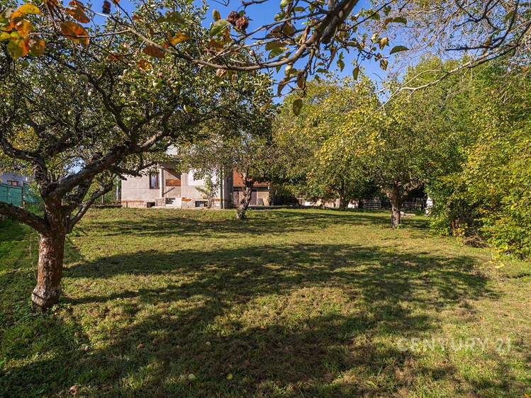 Gewerbefläche zum Kauf, 140 m² (2 von 49)