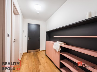 Pronájem bytu 1+kk, 56 m² (3 z 17)