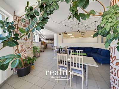 Gewerbefläche zum Kauf, 234 m² (2 von 21)