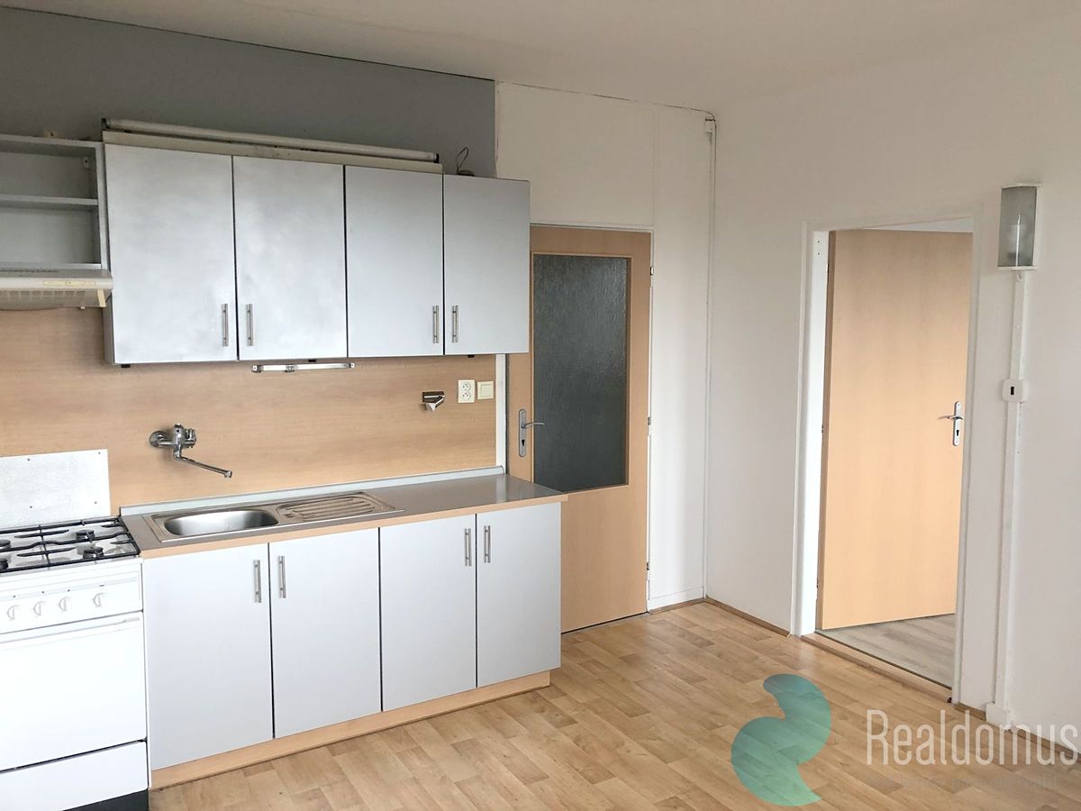Pronájem bytu 1+1 40 m²