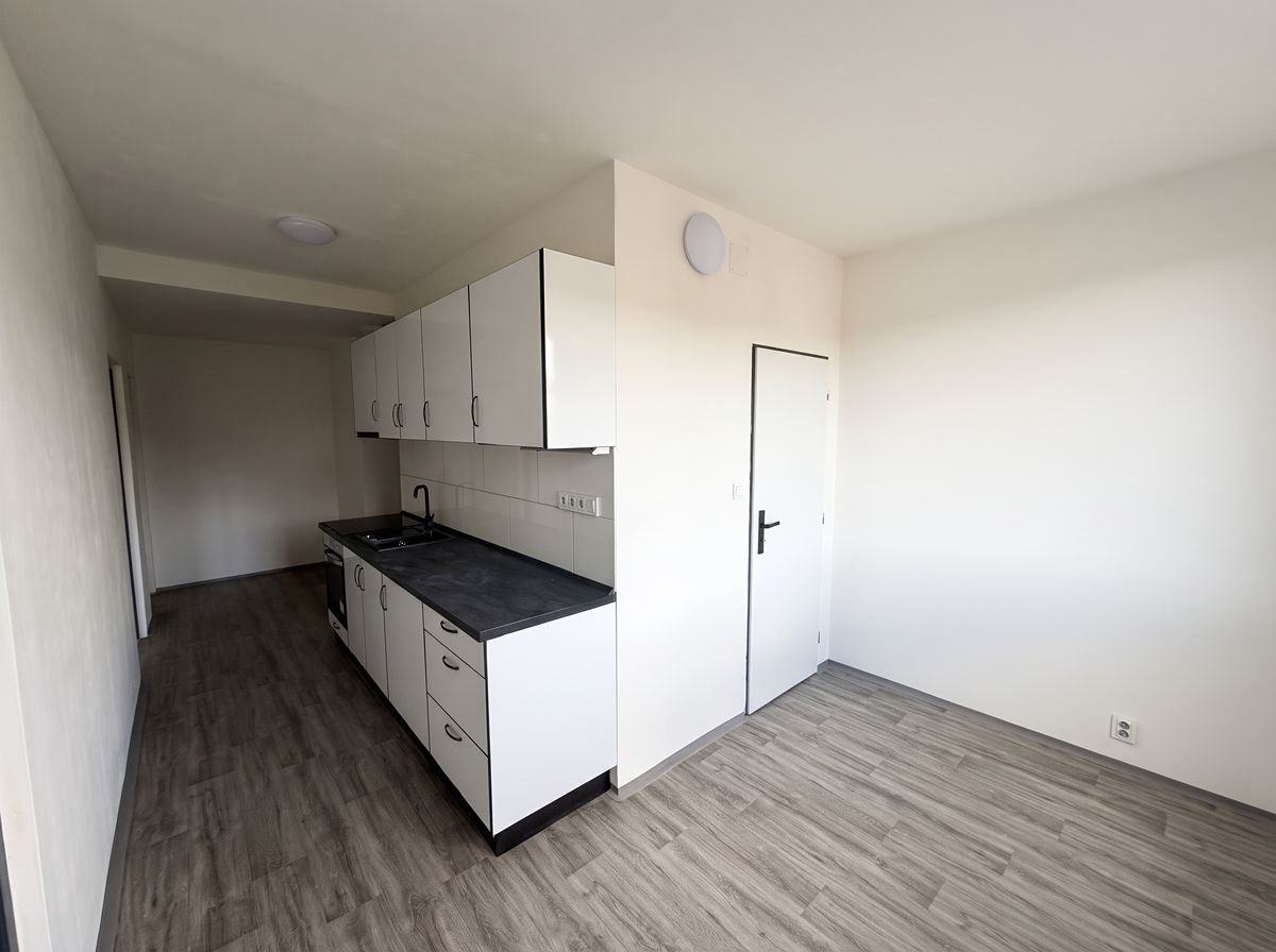 Pronájem bytu 2+1 65 m² – fotografie 4