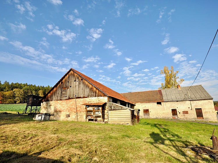 Prodej domu, 250 m² (4 z 8)