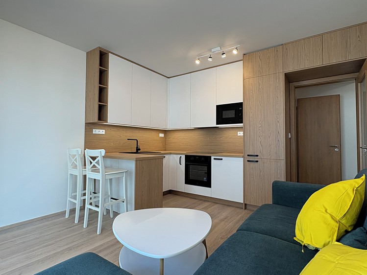 The 2+kk flat for rent, 43 m² (1 of 19)