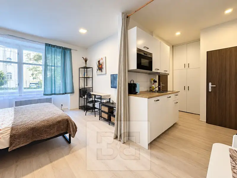 Pronájem bytu 1+kk 28 m², Praha – náhled fotky 2