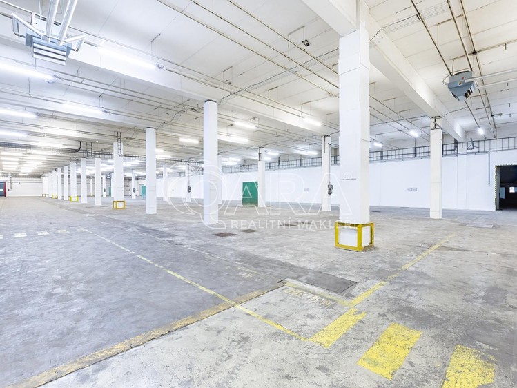 Gewerbefläche zur Miete, 6.421 m² (11 von 23)
