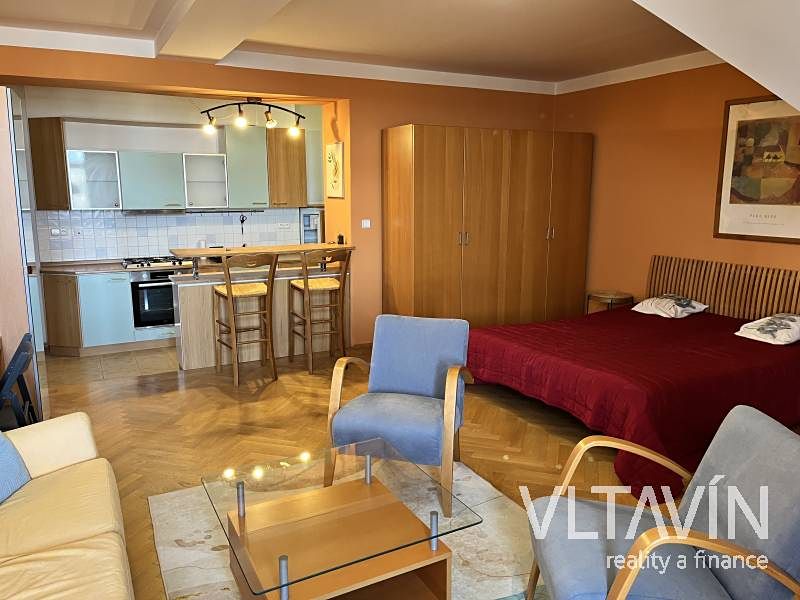 Pronájem bytu 1+kk 45 m²