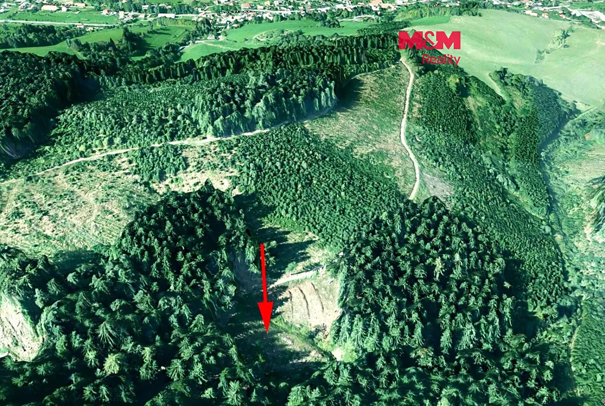 Prodej lesa 2930 m²