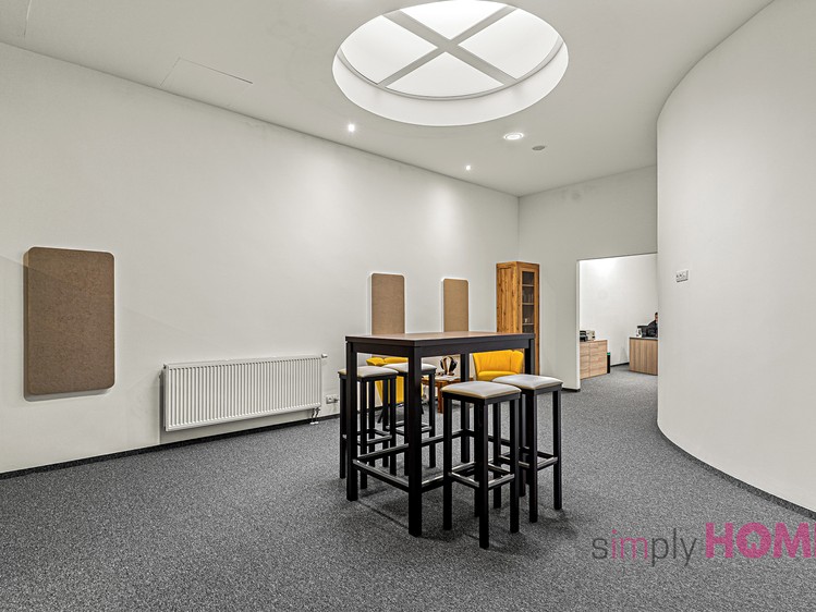 Prodej komerčního prostoru, 212 m² (2 z 15)
