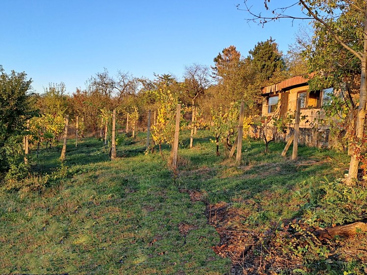 Prodej domu, 40 m² (1 z 13)