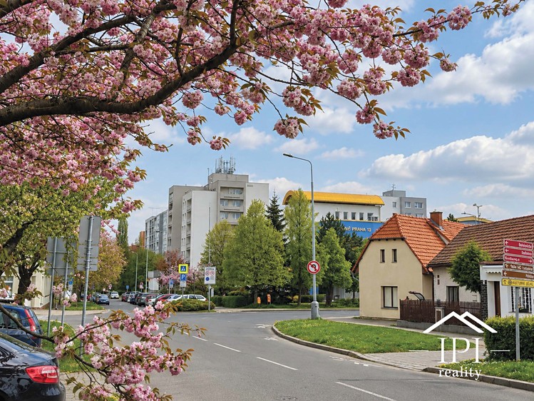Pronájem bytu 1+kk, 38 m² (13 z 15)