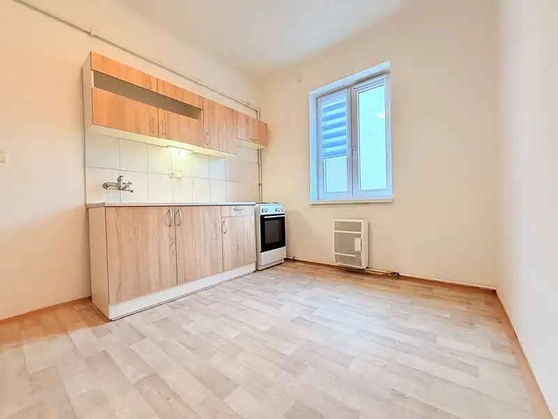 Pronájem bytu 1+1 37 m², Plzeň – náhled fotky 2