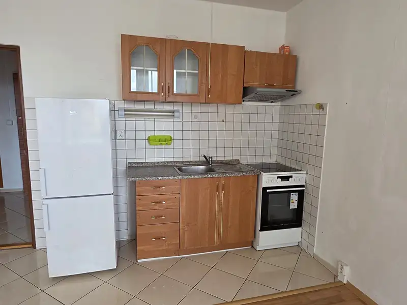 Prodej bytu 1+kk 32 m², Plzeň – náhled fotky 1