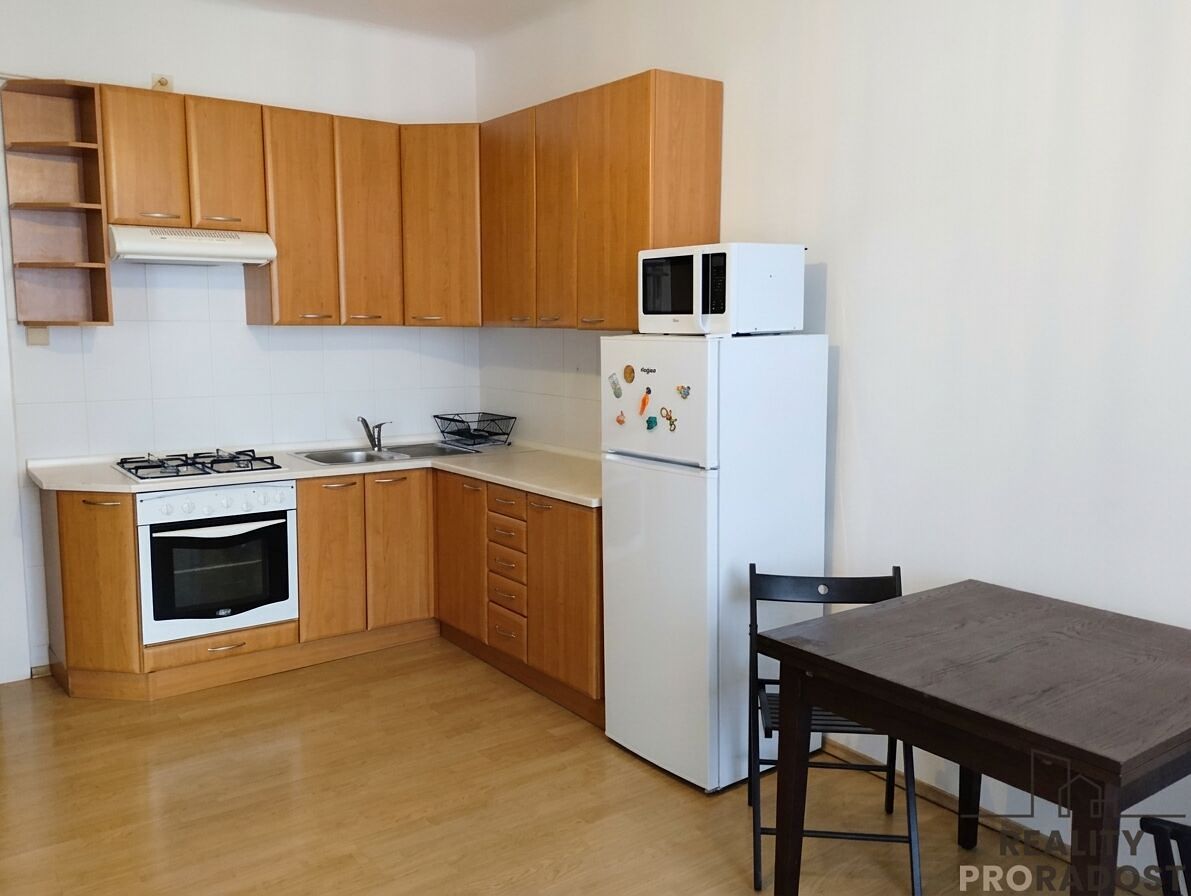 Pronájem bytu 1+1 50 m² – fotografie 5