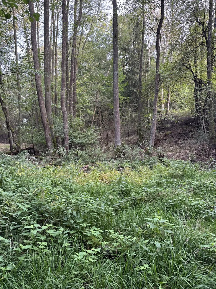 Fotka 5 z 12
