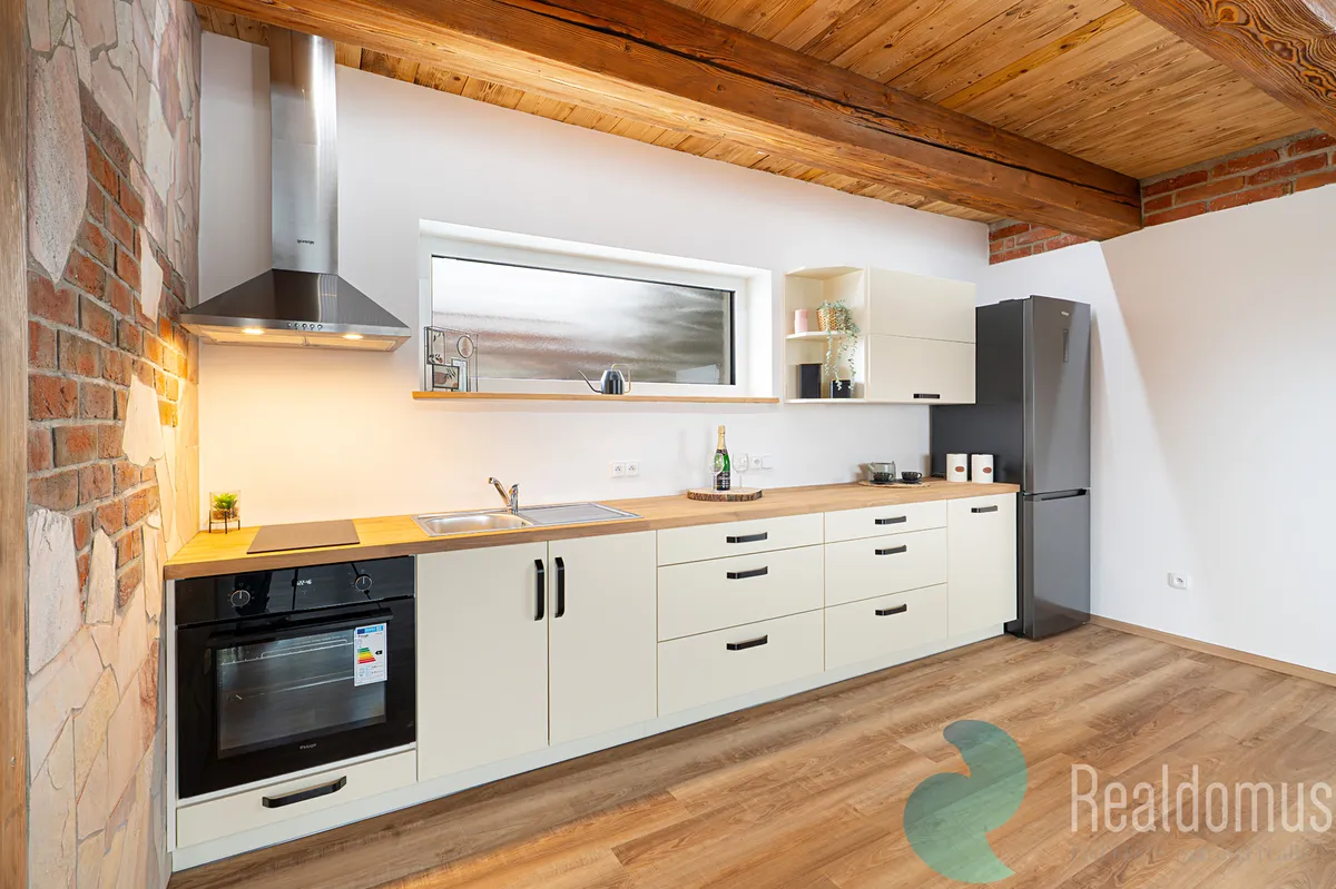Pronájem bytu 1+kk 53 m²