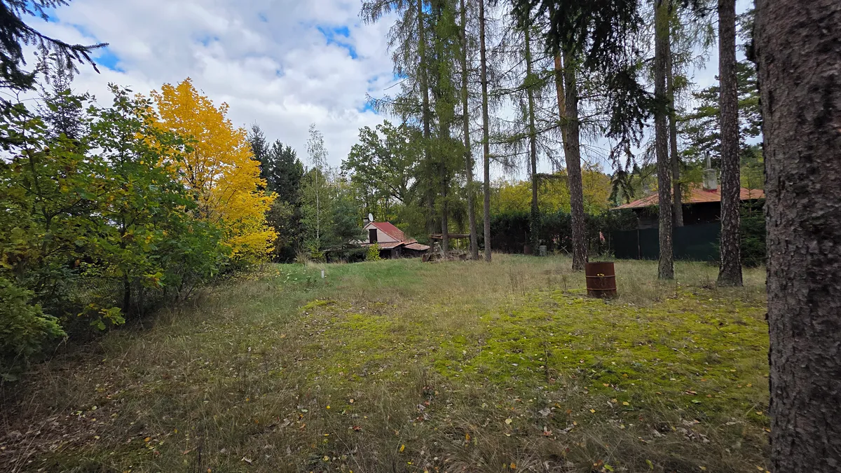 Fotka 6 z 16